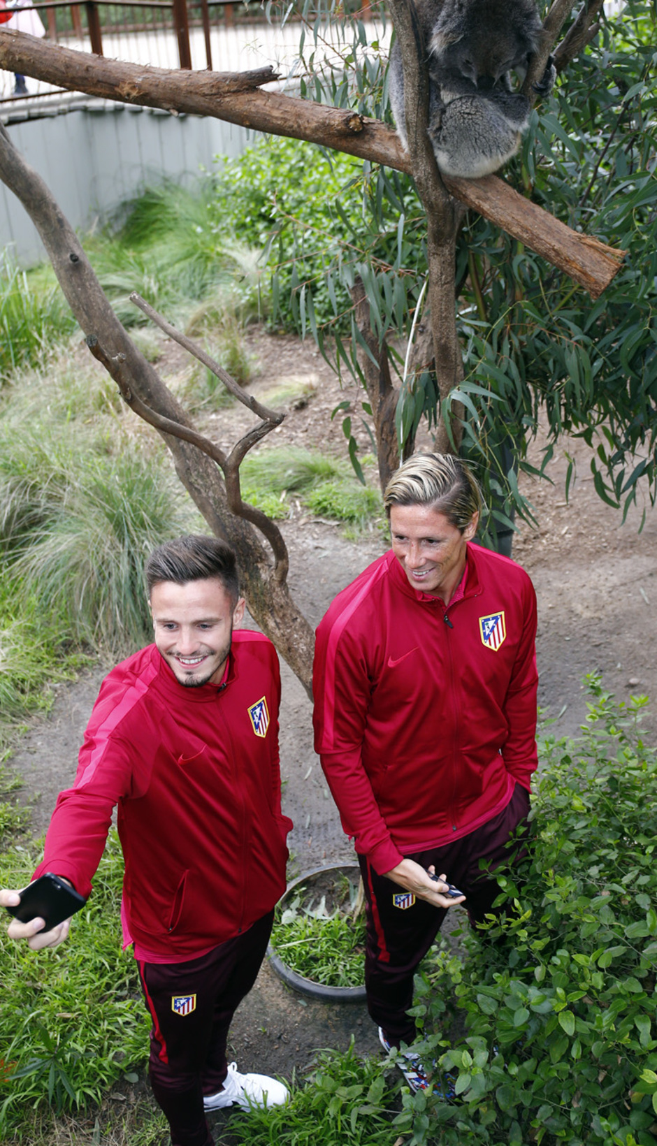 Saúl y Torres en el Zoo de Melbourne