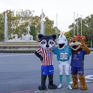 Miami Dolphins mascotas