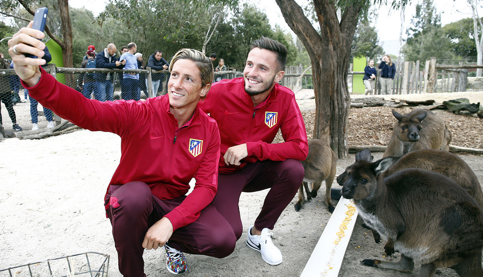 Torres y Saúl se hacen un selfie en el Zoo de Melbourne