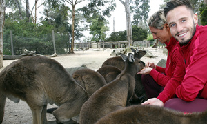 Saúl posa con los canguros