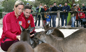 Torres y Saúl posan con los canguros