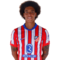 Bustos_web_900x900_0017_20_witsel