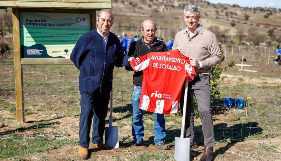 La Fundación puso en marcha el proyecto 'Reforestación de la Sierra de Gredos'