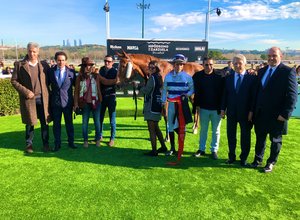 Hipodromo La Zarzuela. Enrique Cerezo. Fundación