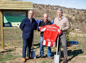 Fundación Miguel Ángel reforestación Sotalbo