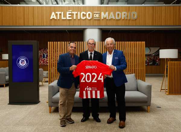 Camiseta Real Madrid 2023/2024 Primera Equipación (EDICIÓN JUGADOR